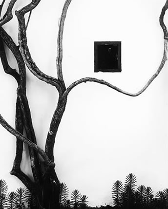 Wall and Branches